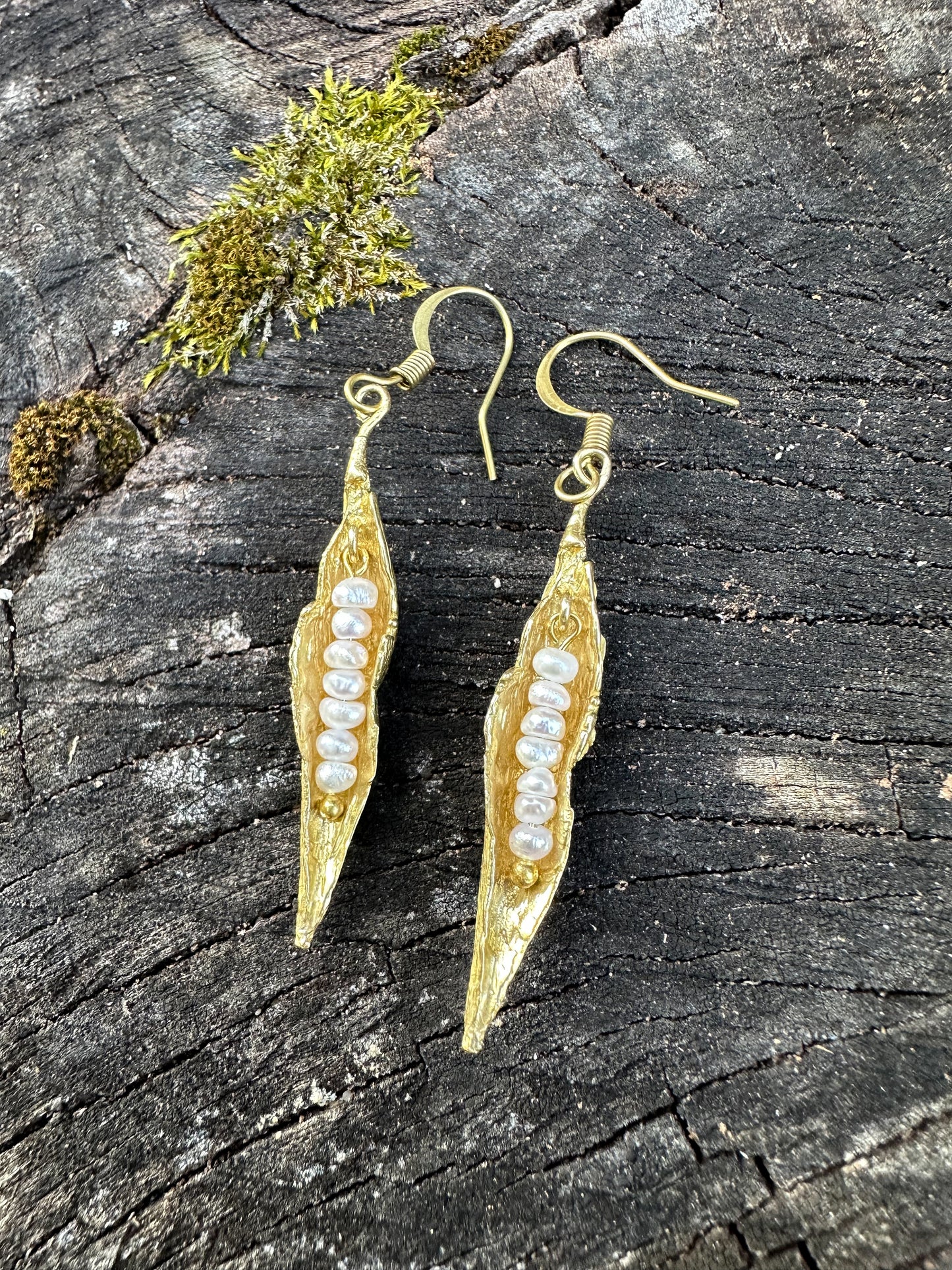 Golden peapod | wee white fresh water pearls, brass cast earrings