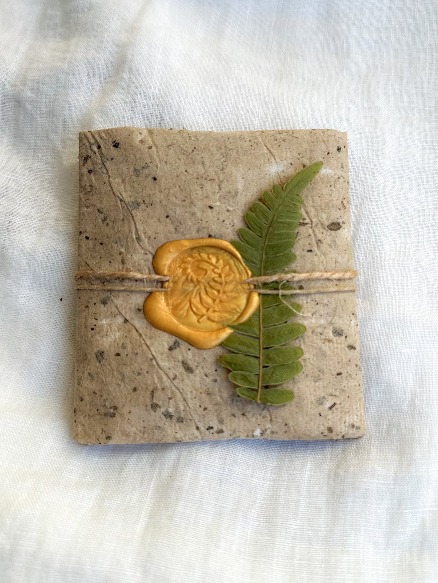 Ginkgo textured leaf earrings in brass, made with real leaves