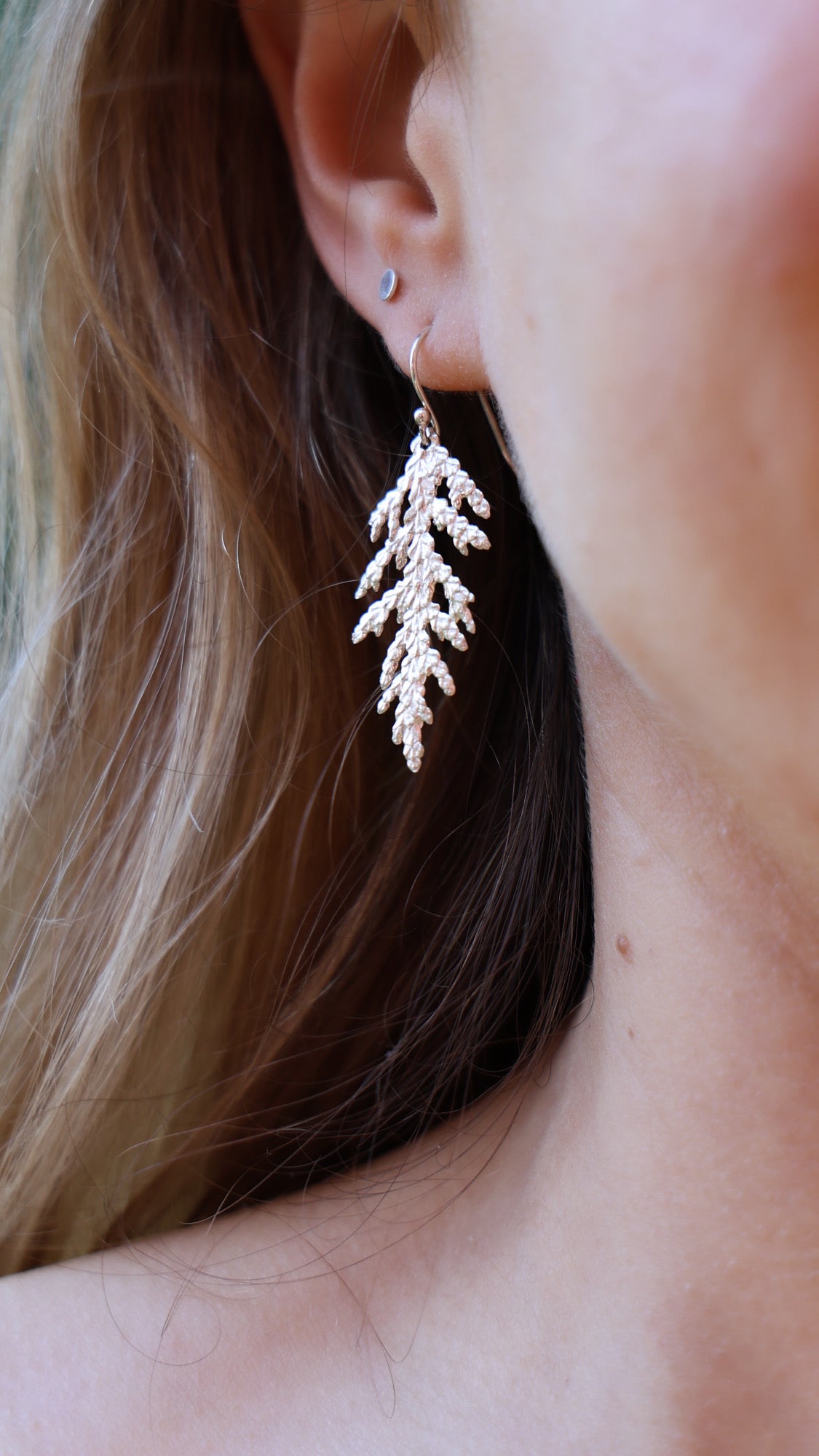 Sacred Cedar organically textured tree frond earrings from Maine