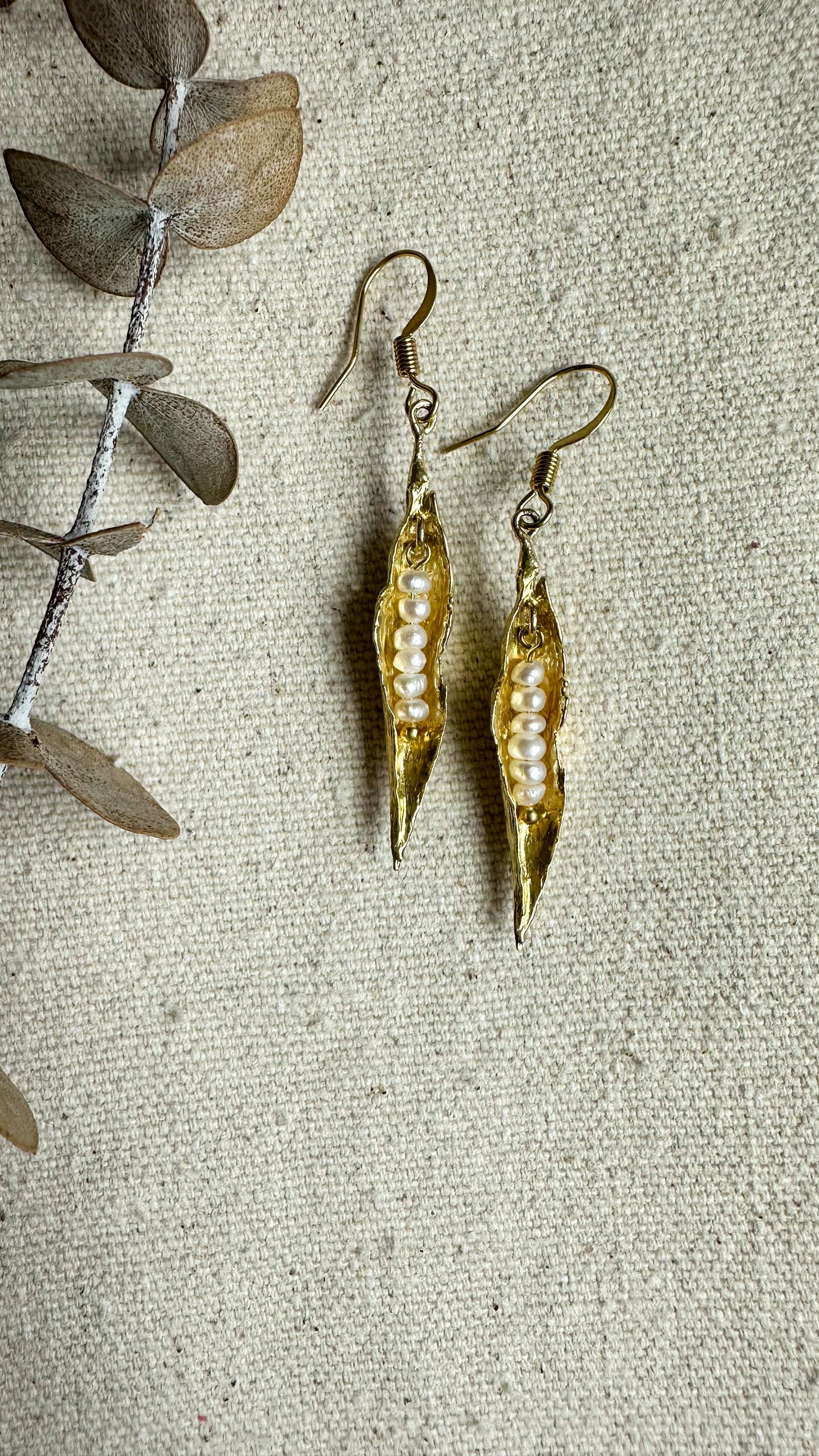 Golden peapod | wee white fresh water pearls, brass cast earrings